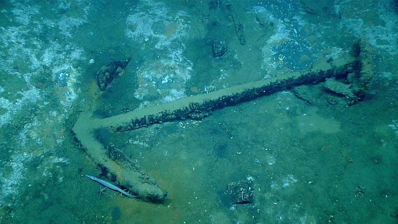 A large sheet anchor stowed on the deck amidships in the wreck.