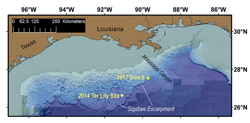 Map showing the northern Gulf of Mexico, with the locations of Dive 09, which discovered an asphalt seep at the seafloor, and the 2014 “tar lily” dive, which found seafloor formations made of extruded asphalt. The Sigsbee Escarpment marks the southern edge of the salt sheet that underlies the northern Gulf of Mexico.
