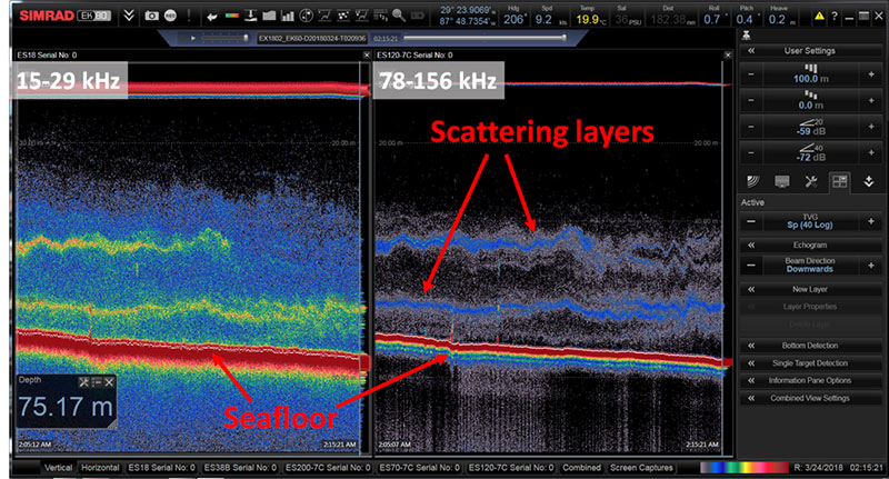 Figure 1. Water column sonar data from a shallow region (75 meters or 246 feet deep) in the Gulf of Mexico. Several scattering layers can be seen in the water column in both frequency ranges. Scattering layers can result from congregations of biology, such as fish or plankton, and/or changes in water properties. 