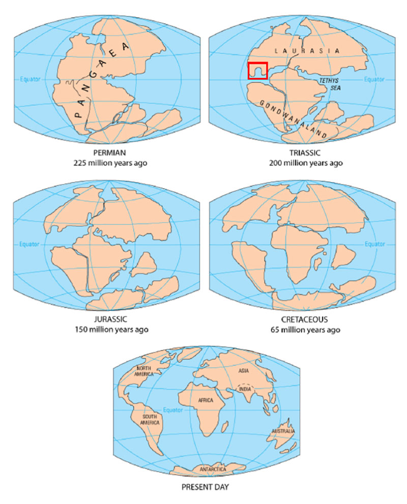 Diagram Of Continental Drift