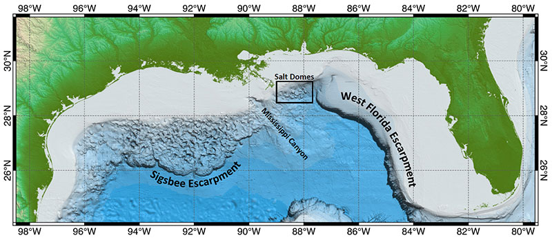 Bathymetric map of the northern Gulf of Mexico with the location of the Sigsbee Escarpment, West Florida Escarpment, Mississippi Canyon, and salt domes indicated.