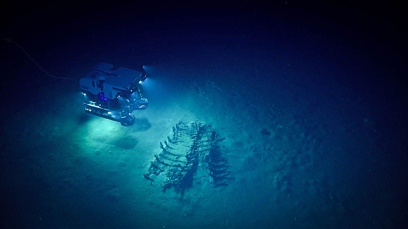 ROV Deep Discoverer explores the cultural heritage site during Dive 02 of the Gulf of Mexico 2018 expedition.