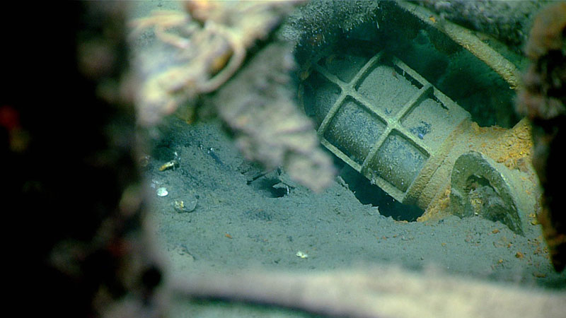 An electric light fixture was observed on the wreck surveyed during Dive 01 of the Gulf of Mexico 2018 expedition. The metal cage surrounding the light fixture is meant to protect it from damage, as the heavy work activities on boats make fixtures such as lights susceptible to breakage.