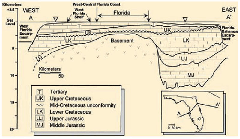 Figure 3: A profile across the Florida Platform showing the steep-sided thick carbonate deposits over the deeply subsided basement rock.