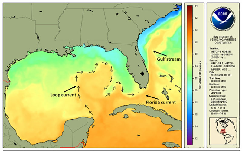 The Gulf of Mexico Loop Current on April 20, 2016, as shown by the Coast Watch GOES-POES Global Sea Surface Temperature Project.