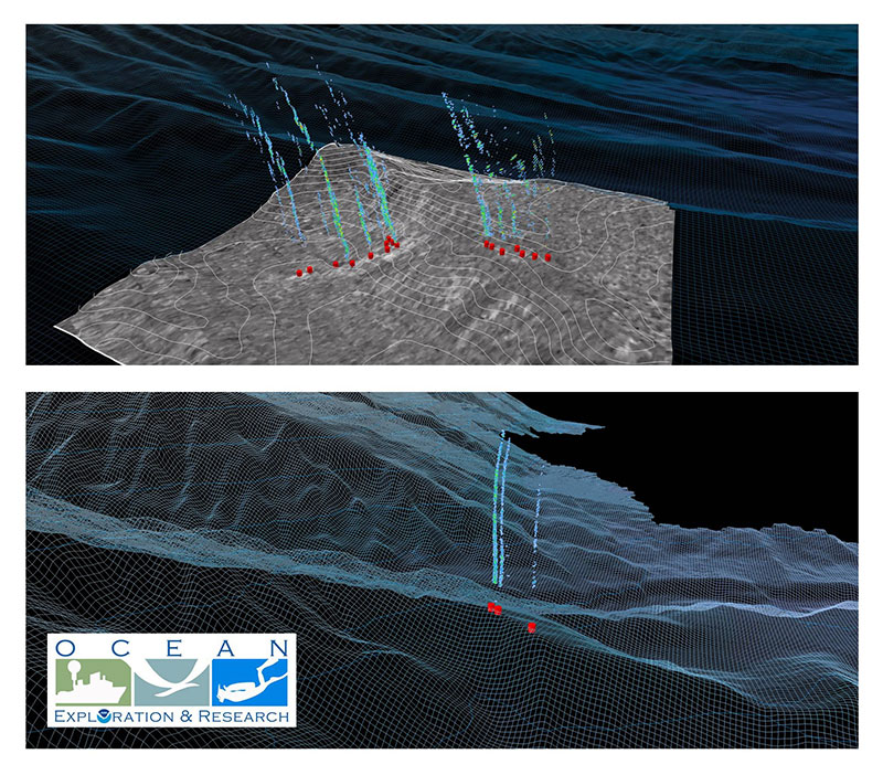 Images of bubble plumes from gaseous seeps collected using water column acoustic reflectivity observations from NOAA Ship Okeanos Explorer Northeast and Mid-Atlantic Canyons Expedition. Also shown is associated bathymetry and seafloor backscatter.