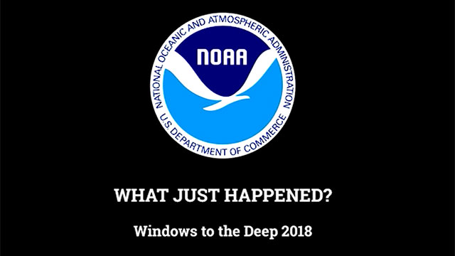 Dive 16: What Just Happened?: Windows to the Deep 2018: Exploration of the  Southeast U.S. Continental Margin: NOAA Ship Okeanos Explorer: NOAA Office  of Ocean Exploration and Research