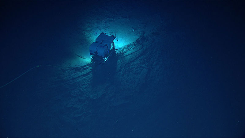 Remotely operated vehicle Deep Discoverer’s limited field of view on the seafloor below Serios during Dive 04 of the Windows to the Deep 2018 expedition.
