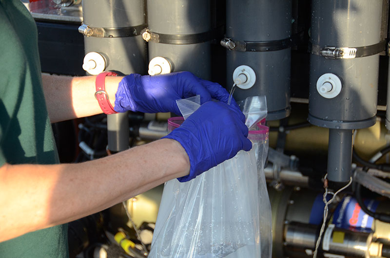 Once aboard NOAA Ship Okeanos Explorer water collected in niskin bottles during the Windows to the Deep 2018 expedition Dive 04 is transferred to sterile containers for later eDNA processing.