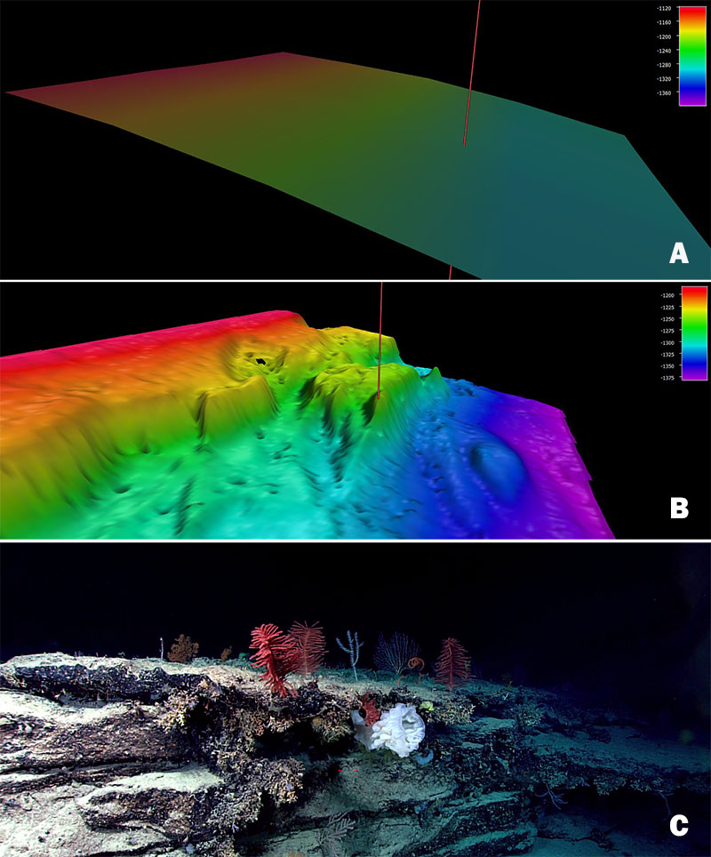 Image A shows satellite altimetry (Smith and Sandwell, 2014) at the Windows to the Deep 2018 Dive 04 site on “Blake Escarpment South.” Image B shows multibeam bathymetry data collected during the expedition, and Image C shows the coral and sponge community documented via remotely operated vehicle at the site marked with a red line in the mapping data. Image courtesy of NOAA Ocean Exploration, Windows to the Deep 2018.