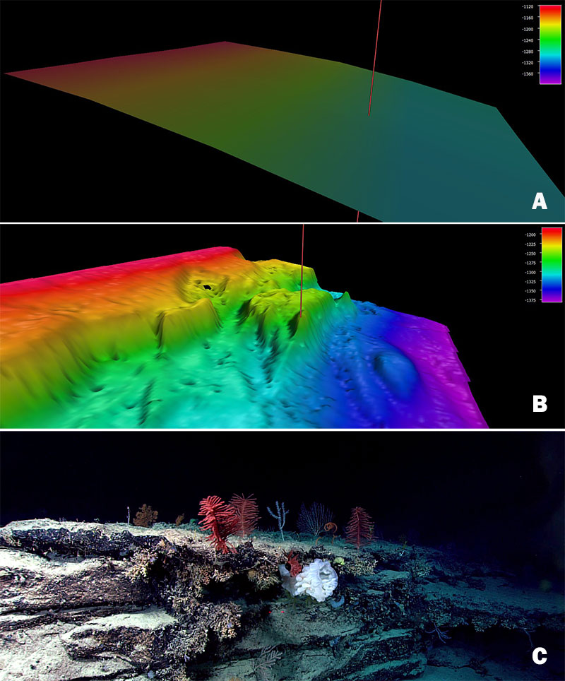 Prior to the Windows to the Deep 2018 expedition, this section of the Blake Escarpment appeared to be an area of low slope with no distinct features based on satellite altimetry. Image A shows satellite altimetry (Smith and Sandwell, 2014) at the Dive 04 site on  “Blake Escarpment South.” During the expedition, multibeam mapping revealed a series of terraced features (Image B) and ROV exploration (at the site of the red mark) documented a highly diverse and dense community of deep-sea corals and sponges that were observed throughout the dive (Image C).