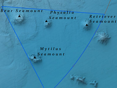 This map of the Northeast Canyons and Seamounts Marine National Monument shows some of the submarine canyons that cut into the deep seafloor of the continental margin of the eastern United States, and the seamounts offshore.
