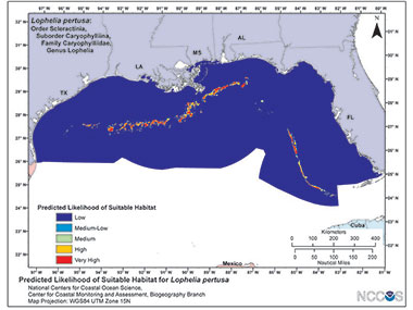 Predictive model of deepwater coral presence in the Gulf of Mexico.