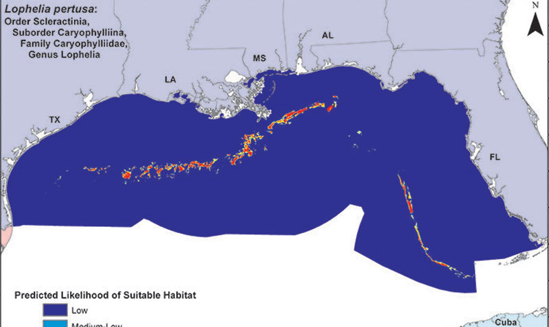 Predictive model of deepwater coral presence in the Gulf of Mexico