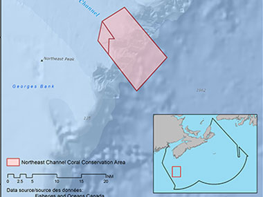 Map showing the Northeast Channel Coral Conservation Area.