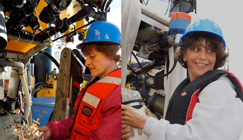 Dr. Martha Nizinski (left) and Dr. Anna Metaxas shared chief scientist duties during the previous transboundary cruises. Here, each attends to samples collected by the Canadian ROV ROPOS. These samples serve as taxonomic vouchers that further our understanding of the composition, distribution and larval transport of species among canyons. 