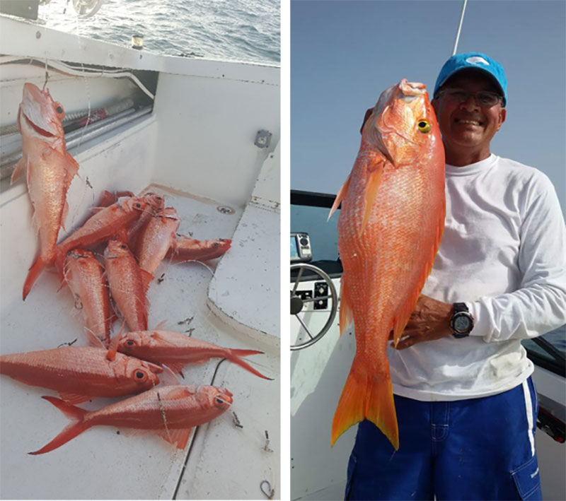 Exploration of Deepwater Fishery Habitats of Puerto Rico and the U.S.  Virgin Islands: Background Information: Océano Profundo 2018: Exploring Deep-Sea  Habitats off Puerto Rico and the U.S. Virgin Islands: NOAA Ship Okeanos