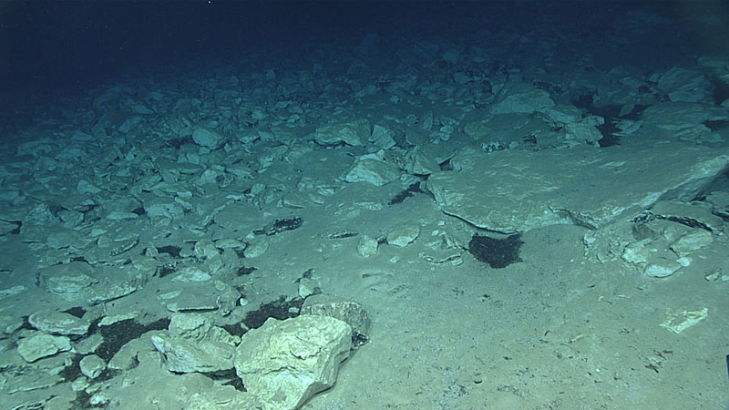 Upon landing on the seafloor, we encountered an extensive field of carbonate talus material that presumably fell down from the slope above.