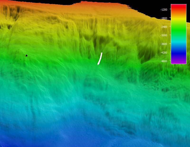 The remotely operated vehicle track for Dive 10, shown as a white line. Scale is water depth in meters.