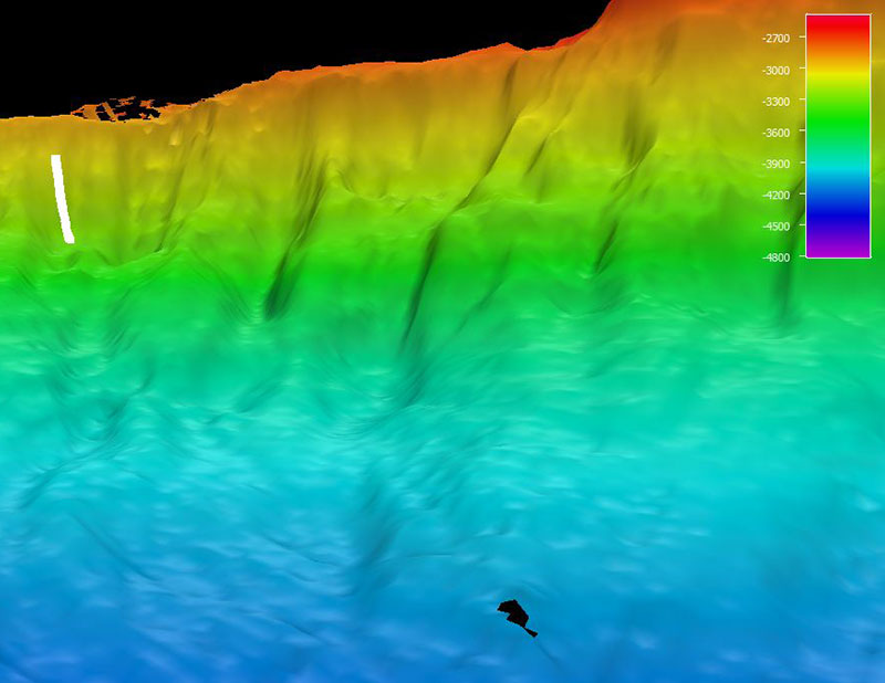 The remotely operated vehicle track for Dive 11, shown as a white line. Scale is water depth in meters.