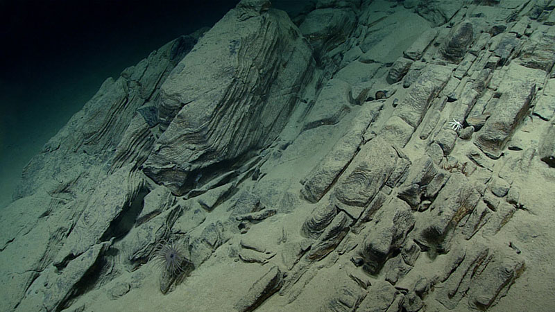 Geological bedforms were observed over steep rocky slopes explored during Dive 19. These formations were often cracked and full of loose debris. 