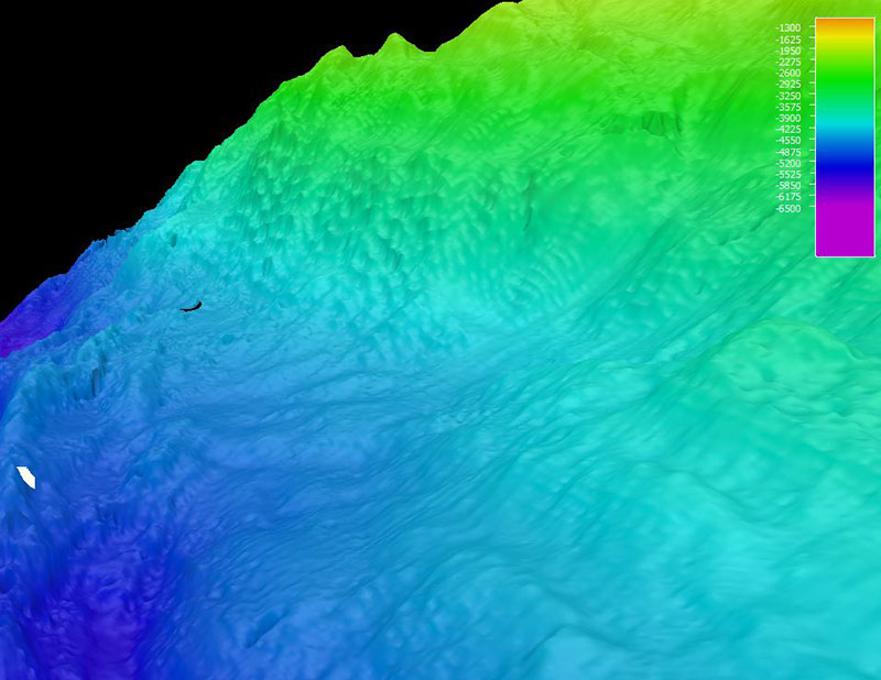 The remotely operated vehicle track for Dive 19, shown as a white line. Scale is water depth in meters.