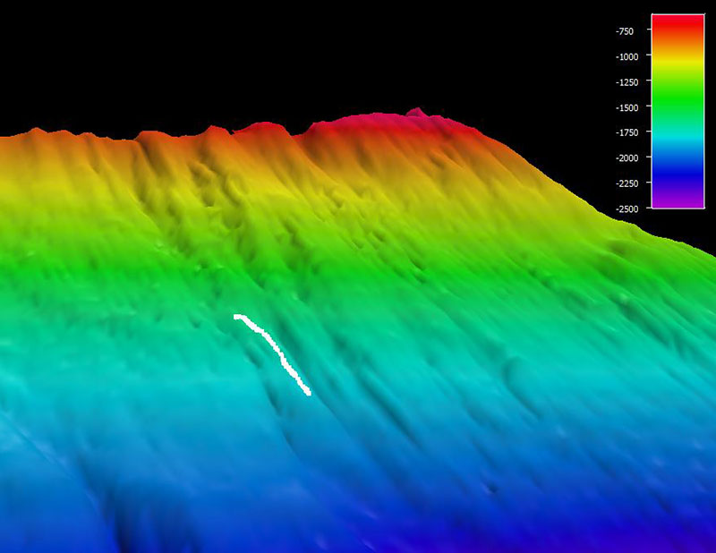 The remotely operated vehicle track for Dive 3, shown as a white line. Scale is water depth in meters.