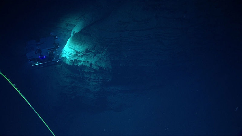 Esta inmersión de ROV exploró una característica similar a un anfiteatro a 450-564 metros (1475-1850 pies) de profundidad, que incluyó dramáticas paredes verticales que proporcionaron buen hábitat para una variedad de corales y esponjas.