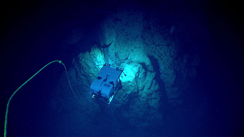 La inmersión exploró una cresta empinada con pináculos de rocas dentadas a profundidades entre 2610-2789 metros (~ 8560-9150 pies).