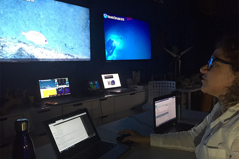 Biological Oceanographer, Aurea Rodriguez Santiago (Taller Ecologico de Puerto Rico), participates in the first ROV dive of the Océano Profundo 2018 expedition from the newly established exploration command center (ECC) at the EcoExploratorio Science Museum in San Juan, Puerto Rico. This new EEC is being sponsored by the Tennenbaum Exploration Initiative and the Soul of Bahia Foundation. Image courtesy of the NOAA Office of Ocean Exploration and Research, Exploring Deep-Sea Habitats off Puerto Rico and the U.S. Virgin Islands.