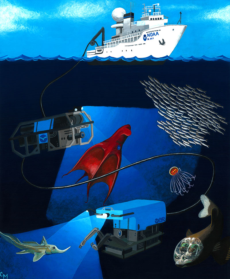 D2 (on the bottom of the picture) and Seirios meet new friends such as squid and jellyfish on their way to the ocean floor. You can see the cables connecting D2, Seirios, and the ship Okeanos Explorer. Illustration courtesy of Christina Machinski.