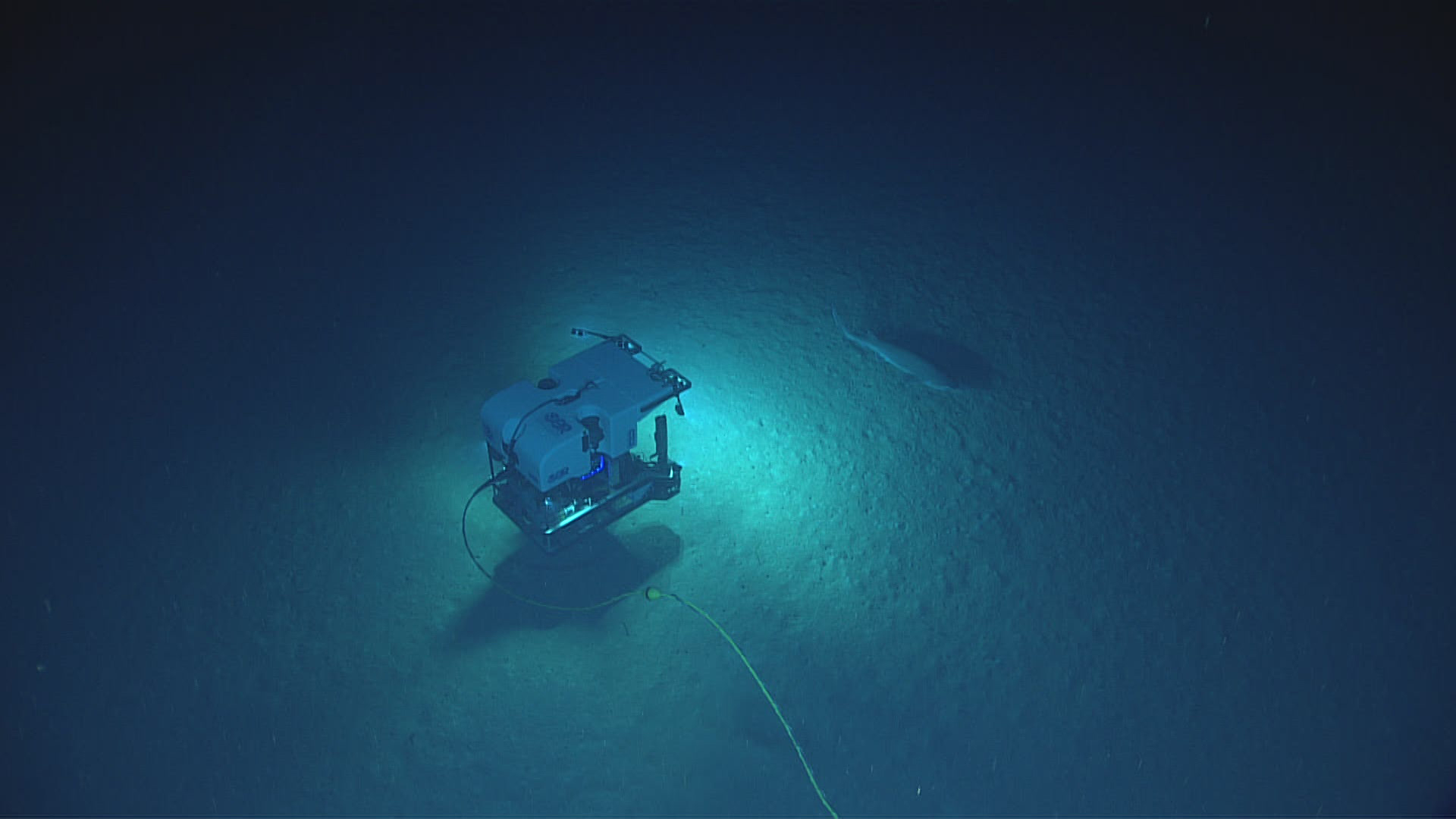 В глубоководных океанах отсутствуют. Океанический блуп. Фон для презентации глубоководный. The Deep Sea спуститься на дно.