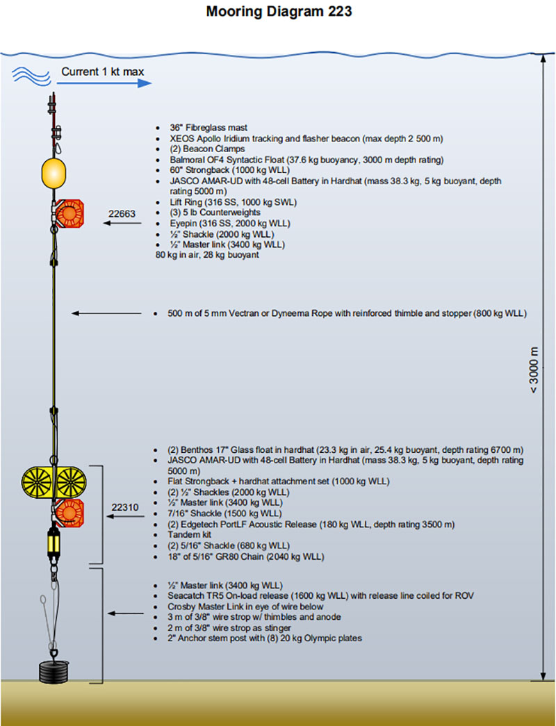 Diagram of the deployed hydrophone array.