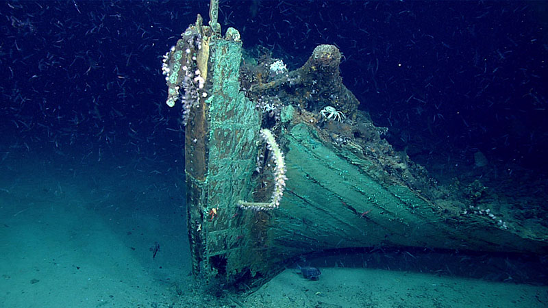 A close-up view of the bow. Marine life is prevalent on the wreck except on the copper sheathing which still retains its antifouling ability to keep the hull free of marine organism like Teredo navalis (shipworm) that would otherwise burrow into the wood and consume the hull, or barnacles that would reduce the vessel’s speed.