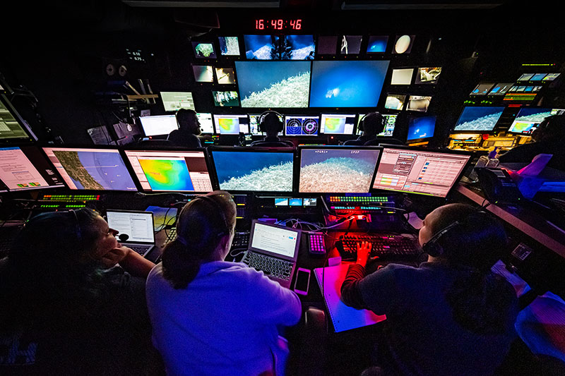 Mission control during an ROV dive onboard NOAA Ship Okeanos Explorer.