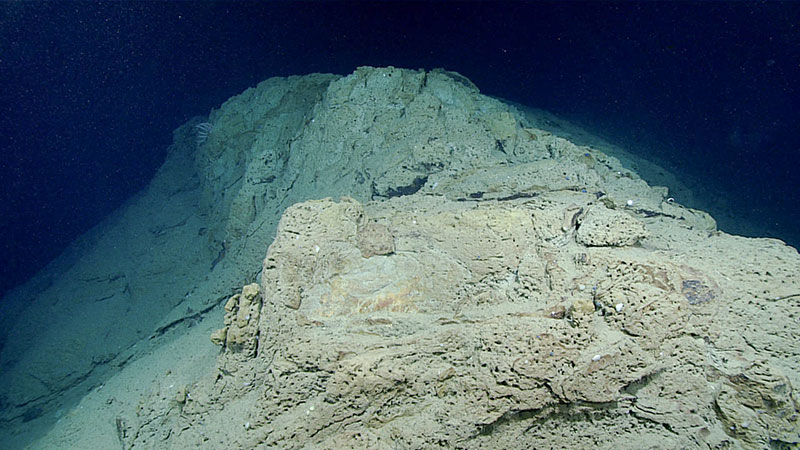 Sheer walls seen at the Currituck Landslide. Scientists were somewhat surprised to find barren walls on habitat that might otherwise have been expected to be colonized by sessile organisms. 