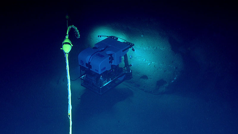 The remotely operated vehicle Deep Discoverer scaling Wilmington Canyon during Dive 17 of the Windows to the Deep 2019 expedition.