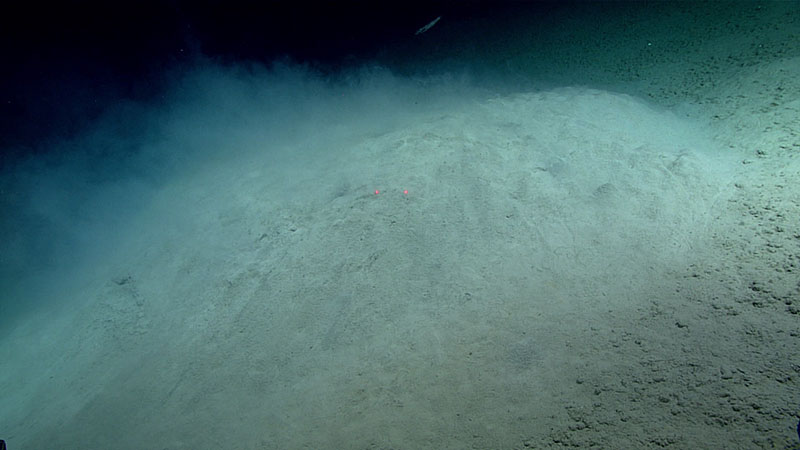 This low relief mound, several meters across, may be underlain by methane hydrate.  Fluid that was denser than seawater flowed out of holes in the surface of the mound, entraining fine sediment that then billowed into the water column, as seen here. Red laser dots are separated by 10 centimeters (3.94 inches).