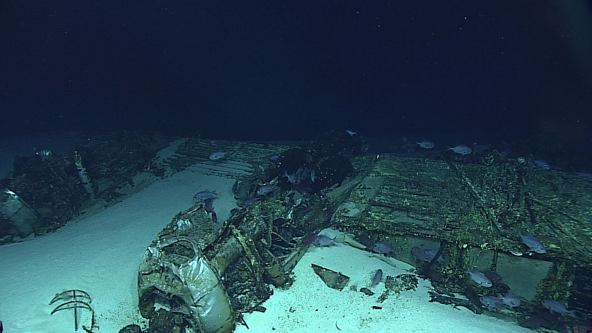 There are not just ships in the deep ocean wanting to be uncovered, there are other artifacts of our past including this aircraft lost in the vicinity of Tinian and Saipan. This B-29 Superfortress aircraft, one of the largest aircraft flown by the United States in World War II, was discovered in 2016 using our remotely operated vehicle Deep Discoverer. 