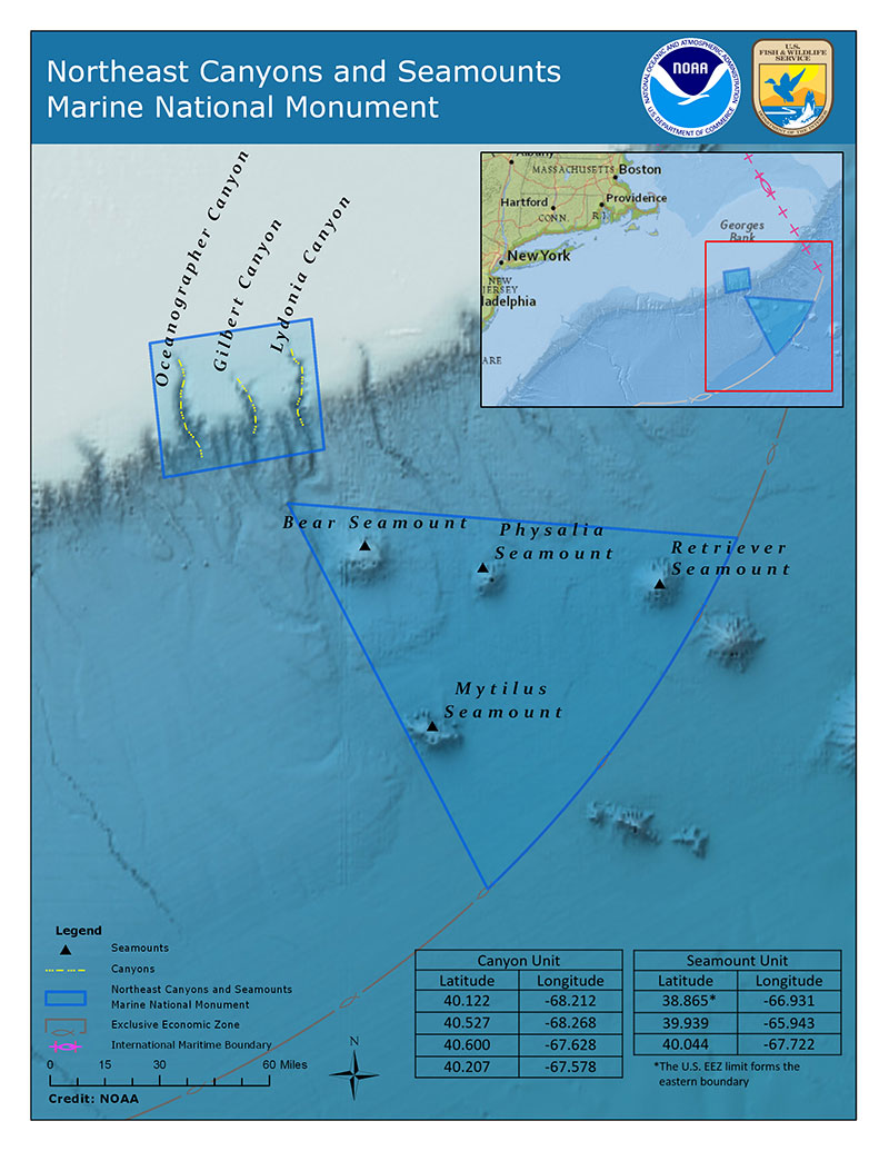 This map of the Northeast Canyons and Seamounts Marine National Monument shows some of the submarine canyons that cut into the deep seafloor of the continental margin of the eastern United States, and the seamounts offshore. The habitat characteristic of these geological features is discontinuous, with communities isolated by the sediment-covered slope between them.