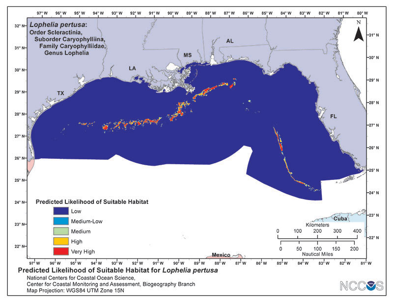 Predictive model of deep water coral presence in the Gulf of Mexico, produced using MaxEnt ecological habitat mapping software. Hot colors are likely suitable habitats for deep water corals, while cold colors are unsuitable for corals. Figure courtesy of Matt Poti, NOAA. 