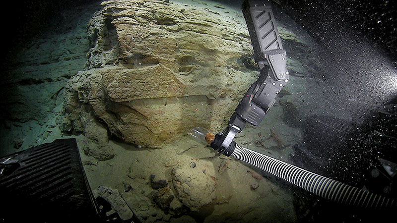 Sampling of one of the pipe-like fluid channels on a step face, found during the second dive of Deep Connections 2019.