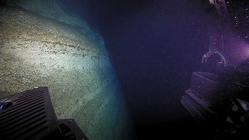 The mechanical arm of ROV Deep Discoverer can be seen while surveying a stunning, near-vertical sequence of carbonate rock at Veatch Canyon. The wall was over 100 meters thick.