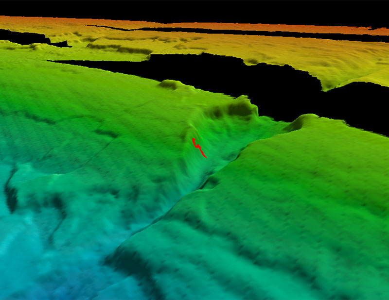 Map showing the dive track of Dive 12 of the Deep Connections 2019 expedition. Scale is water depth in meters.