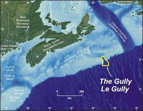 Location of The Gully Marine Protected Area.