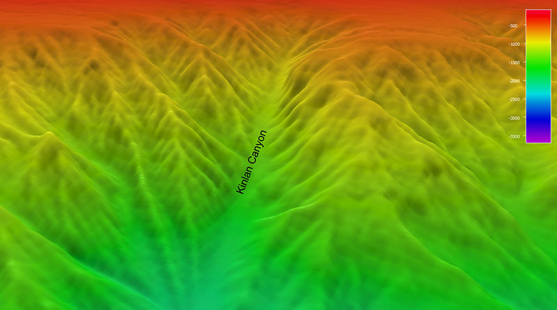 A perspective view of the bathymetry of Kinlan Canyon.