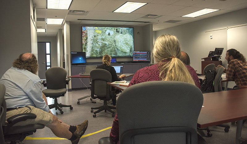 Scientists participating in dive 1 of the Deep Connections 2019 expedition from the newly established exploration command center at the Bedford Institute of Oceanography, located in Dartmouth, Nova Scotia, Canada.