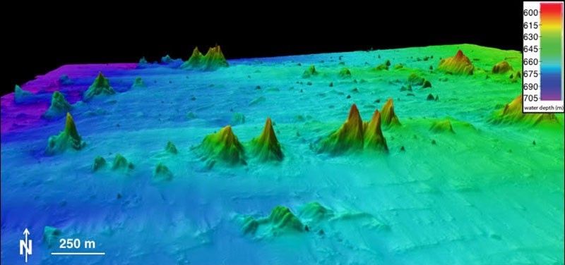 This bathymetry map shows cold-water coral mounds within the Straits of Florida. These mounds are characterized as conically shaped and range from a few meters to nearly 100 meters tall. The semidiurnal tidal current in this region allows cold-water corals to grow on all sides of these mounds, which furthers their expansion.