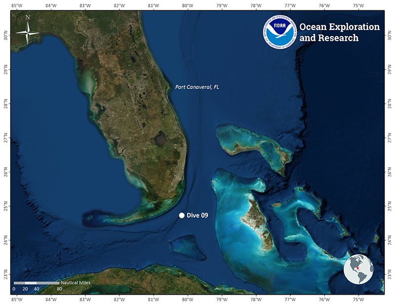 Location of Dive 09 of the 2019 Southeastern U.S. Deep-sea Exploration on November 16, 2019.