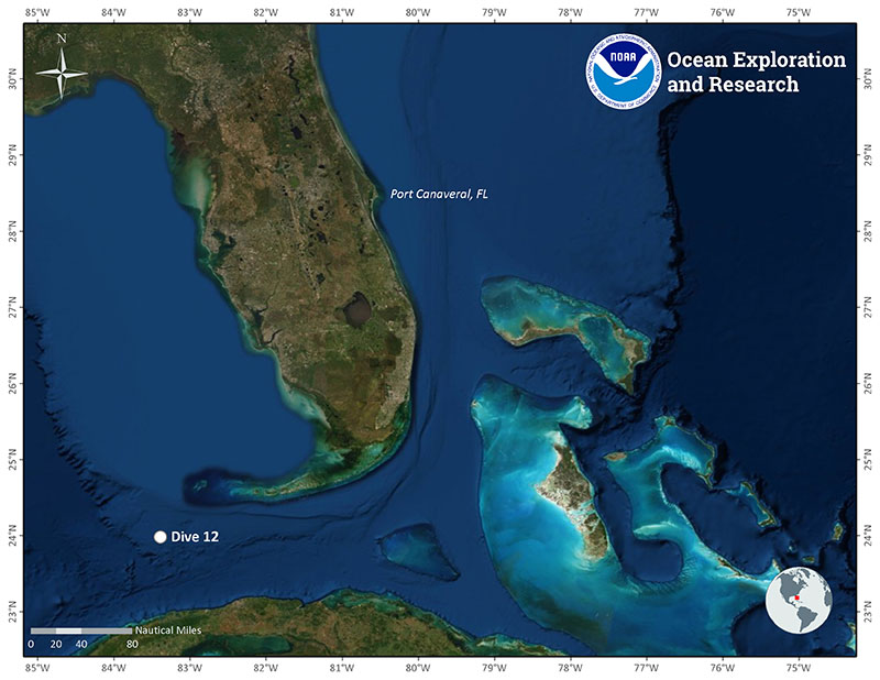 Location of Dive 12 of the 2019 Southeastern U.S. Deep-sea Exploration on November 19, 2019.